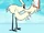 Stork