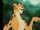 Leopold