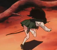 Kagome1 (117)