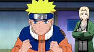Naruto-shippden-episode-dub-441-0872 28561176418 o