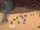 First Battle of Geonosis