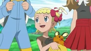 Kalos579 (32).jpg (28 KB)