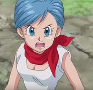 84bulma