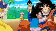 Dragon-ball-67-0618 42976464421 o