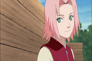 Naruto Shippudden 181 (26)