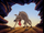 African Wild Dog