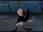 Puffin