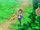 Weedle