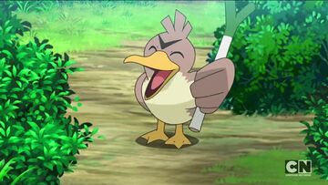 Farfetch'd, Wiki