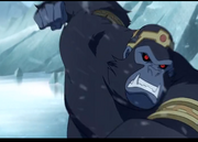 Grodd1