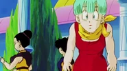 Dragon Ball Kai Episode 045 (47).png (601 KB)