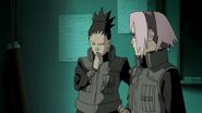 Naruto-shippden-episode-dub-444-0482 27655214347 o