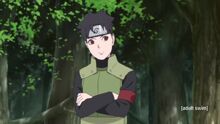 Mirai Sarutobi Xianb Wiki Fandom