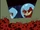 Ladybugs