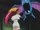 Golbat