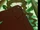 Bigfoot (Timon & Pumbaa)