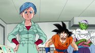 Dragonball Super Tournament (98)