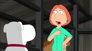 Family Guy 14 (113)