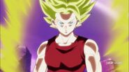 Dragon Ball Super Episode 101 (237)