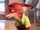 Nick Wilde