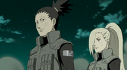N37909001.png (351 KB)