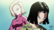 Dragon Ball Super Episode 102 1133