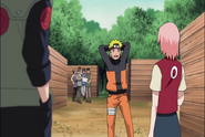 Naruto Shippudden 181 (30671397)