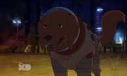 Cosmo.png