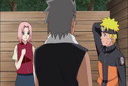 Naruto Shippudden 181 (301)