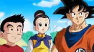 Dragon-ball-67-0977 42976454941 o.jpg (77 KB)