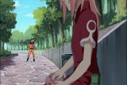 Naruto Shippudden 181 (30671403)