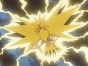 264 (1)zapdos.jpg