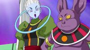 Dragonball Super Tournament (240)