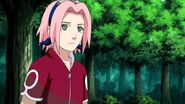 Naruto-shippden-episode-dub-437-0646 28432542608 o