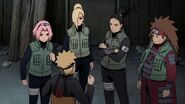 Naruto-shippden-episode-dub-443-0521 28652344588 o