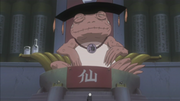 300px-The Great Toad Sage.png