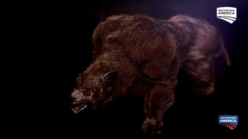 bearページ The Ex-Communist Bear Baiter of Saskatchewan | Outdoor Life