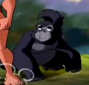 45 (1).png