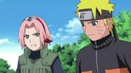 Fidelbd-naruto-shippuden---449-0470 44023021755 o