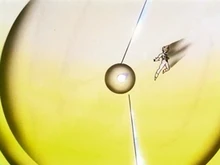 Big Bang Attack | Animated Character Database | Fandom