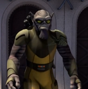 Zeb.png