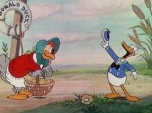 Donald-duck-1st-02.jpg