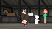 Family Guy 14 (163)