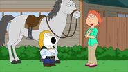Family Guy 14 (70)