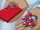 Ash's Pokedex