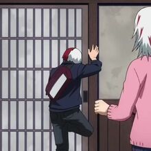Fuyumi Todoroki Xianb Wiki Fandom