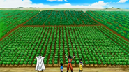 Super-49-97 26810063437 o.png (770 KB)