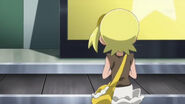Img 4352 41242795452 o.jpg (42 KB)