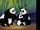 Panda Bears