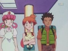 Nurse Joy(EP147), Animated Character Database